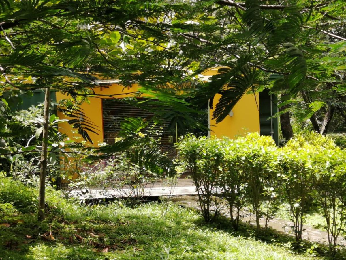 Casa Rural Aroma De Campo Curubande Екстериор снимка